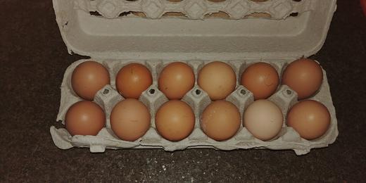 A dozen Farm Fresh
            Eggs